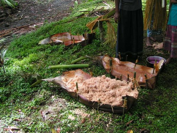 Fotky: Papua-Nov Guinea (foto, obrazky)