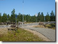 Lapland 2006