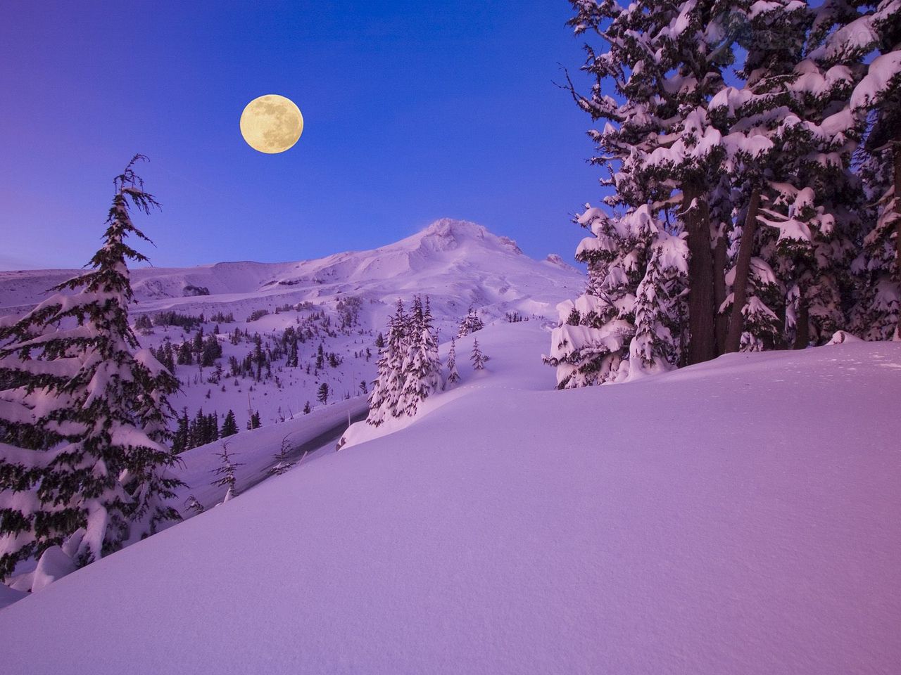 Foto: Moon Over Mount Hood At Dawn, Oregon