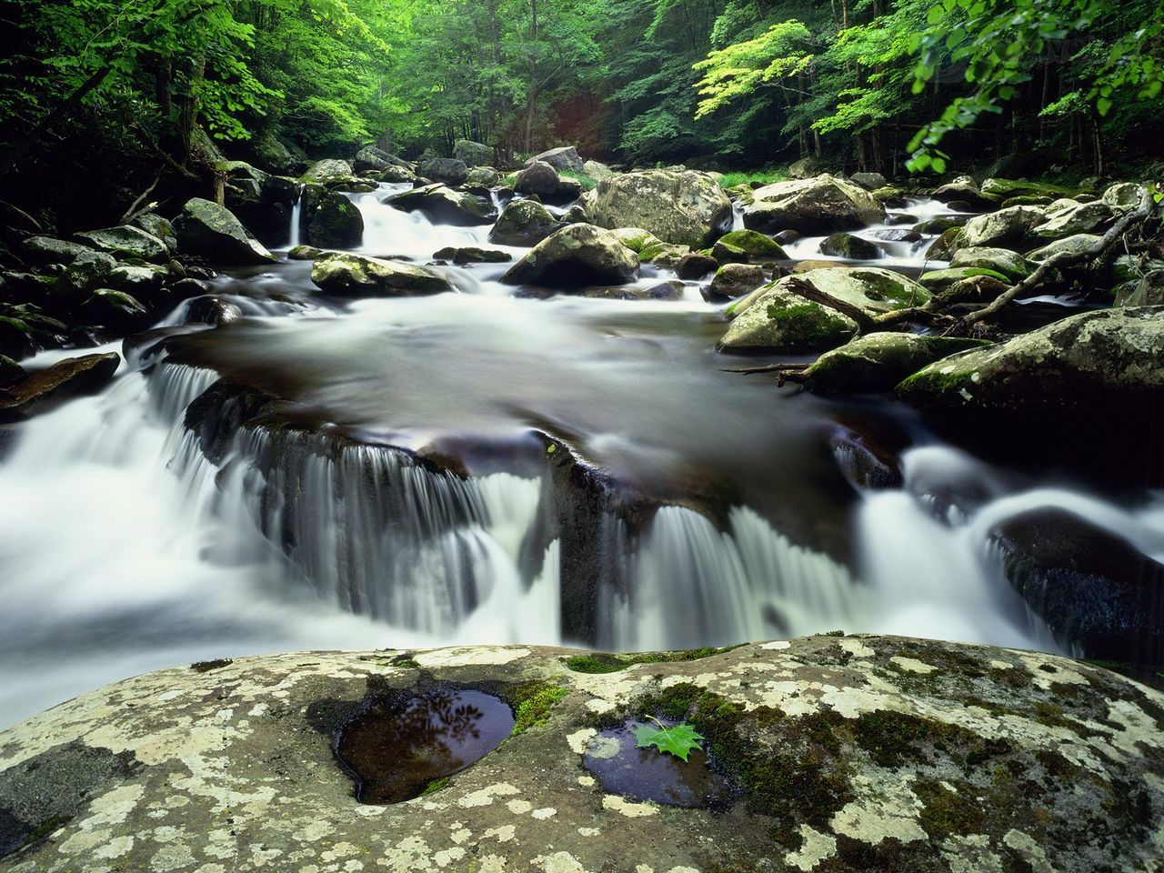 Foto: Summer Scene, Middle Prong Of The Little River, Great Smoky Mountains National Park, Tennessee