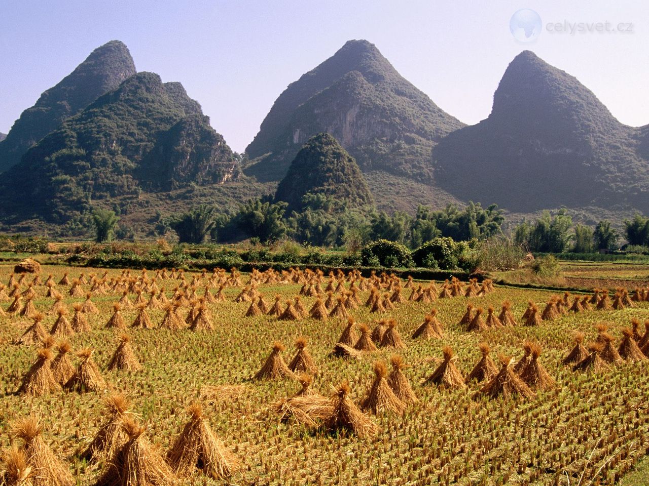 Foto: Harvested Rice Field, Li River Area, Yangshuo, Guangxi Province, China