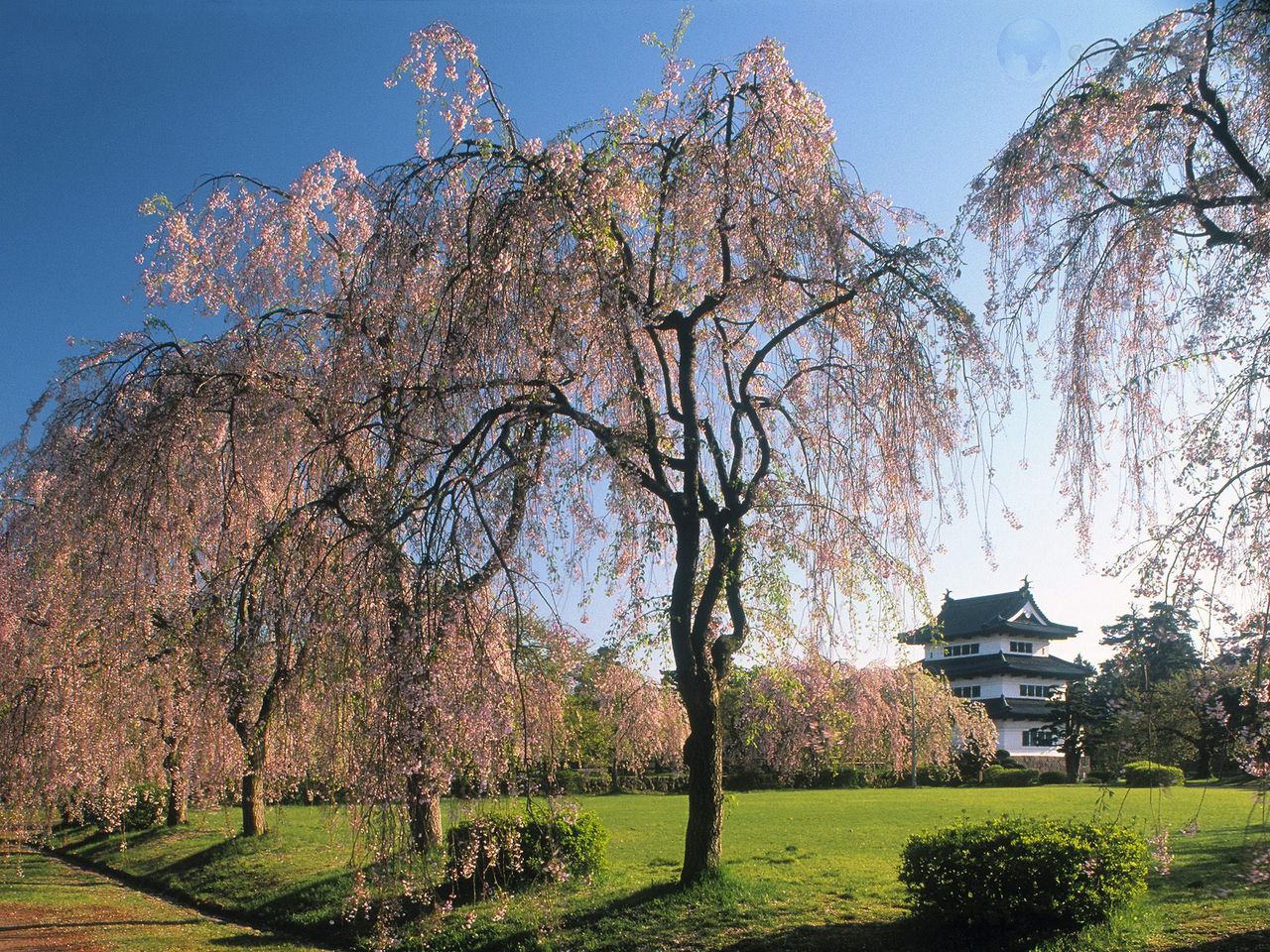 Foto: Castle Hirosaki, Japan