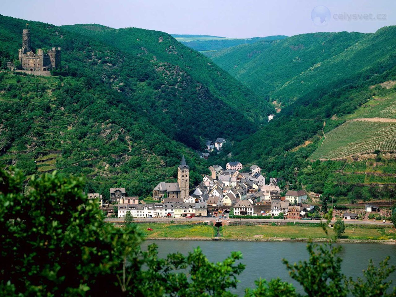 Foto: Maus Castle On The Rhein River, Germany