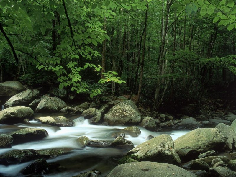 Foto: Little Pigeon River, Great Smoky Mountains National Park, Tennessee