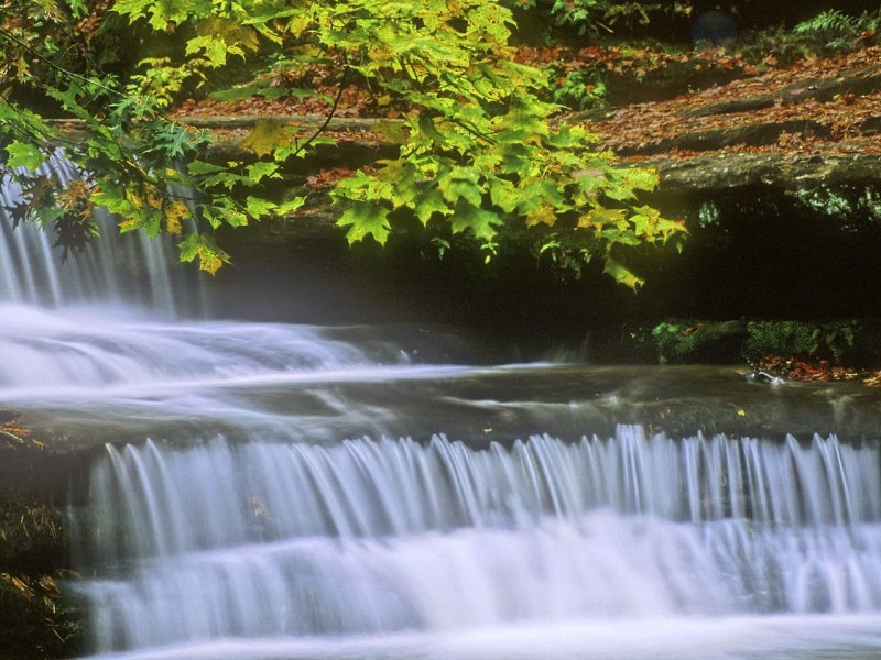 Foto: Matthiessen Maple Falls, Matthiessen State Park, Lasalle County, Illinois