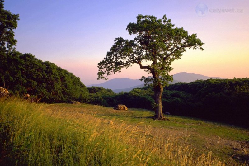 Foto: Old Rag Mountain Overlook, Shenandoah National Park, Virginia