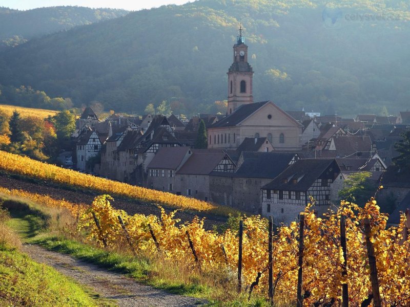 Foto: Riquewihr, Alsatian Wine Road, France