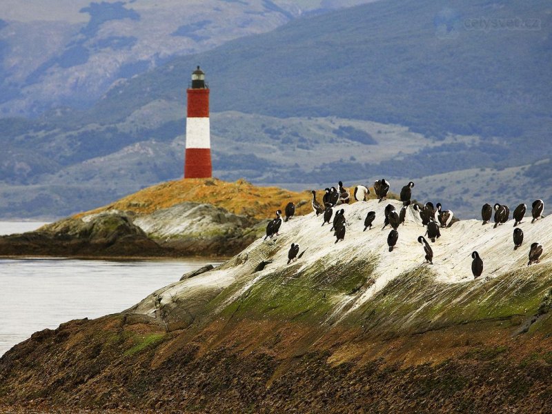 Foto: Beagle Channel, Ushuaia, Argentina