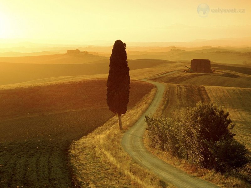 Foto: Tuscan Landscape At Sunrise, Italy